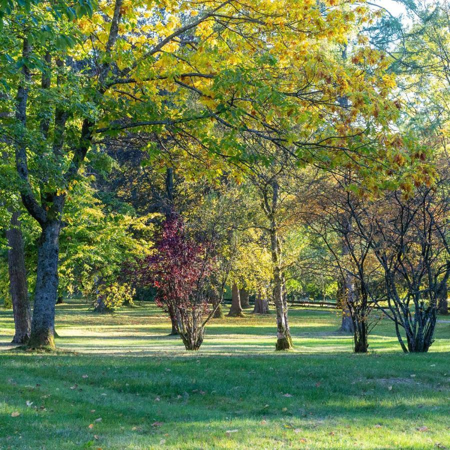 Ferienwohnung "Am Kurpark" Sankt Andreasberg Exterior foto